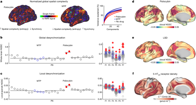 Psilocybin induces large-scale brain network reorganization, offering insights into the psychedelic state